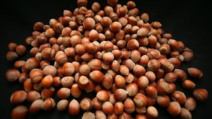 Toprak Mahsulleri Ofisi'nden 'kabuklu fındık satışı' ile ilgili açıklama