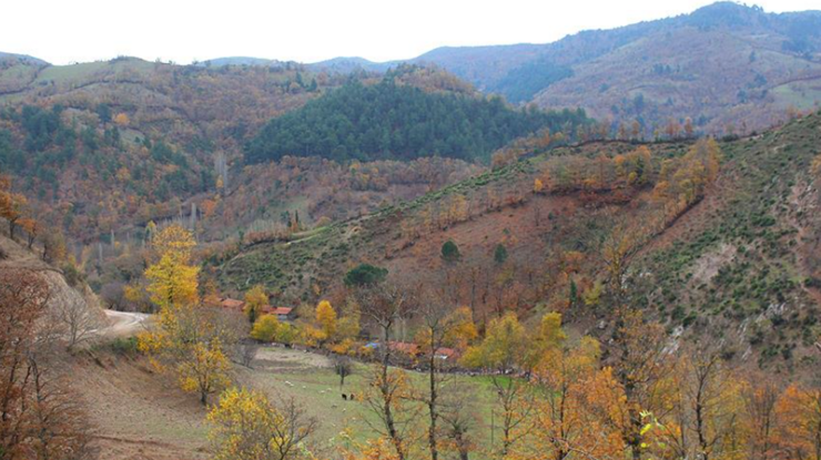 Türk Altın, İvrindi’deki maden ruhsatını devralmak için anlaşma imzaladı