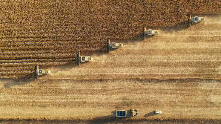 Tarımda üretici fiyatları 2024'te yüzde 37 arttı