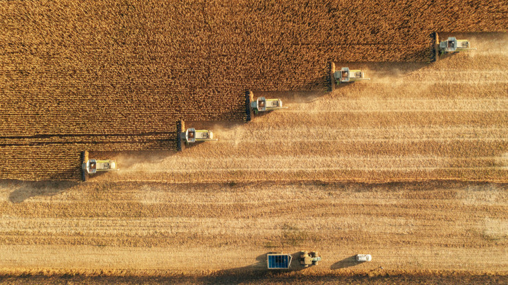 Tarımda üretici fiyatları 3 yılın en düşüğünde