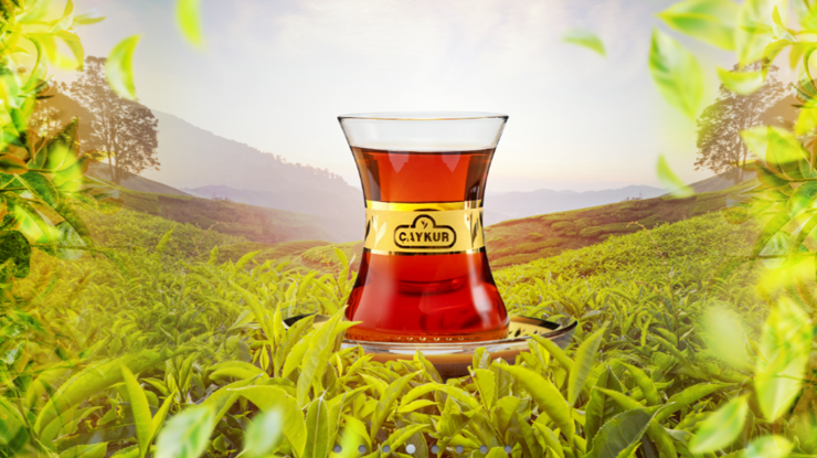 ÇAYKUR'un sözleşmeli personel atamalarında 40 yaş şartı kaldırıldı