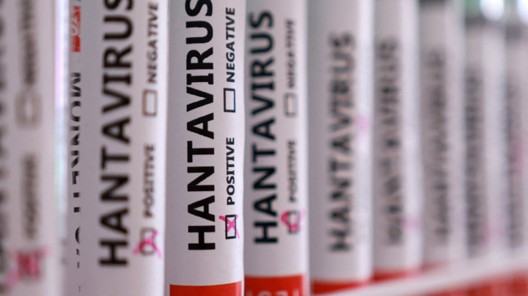 Sağlık Bakanlığı'ndan hantavirüs açıklaması: Türkiye'de vaka tespit edildi mi?