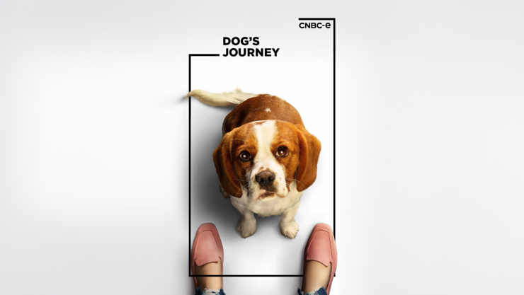 CNBC-e'de haftanın filmleri - Gülümseten Hikayeler Film Seçkisi - Resim : 4