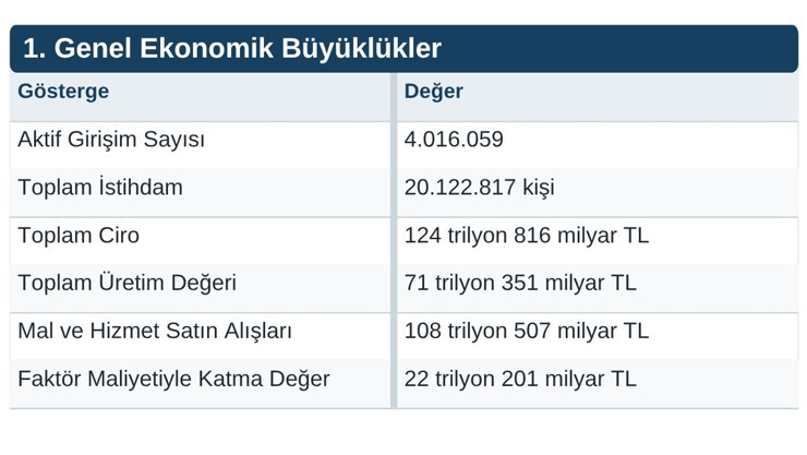 Türkiye’de en çok ciro yapan ve en fazla istihdam sağlayan sektör belli oldu - Resim : 1