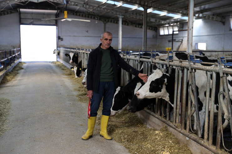 4 yıl önce 20 inekle başladı, şimdi günde 1 ton süt üretiyor - Resim : 1