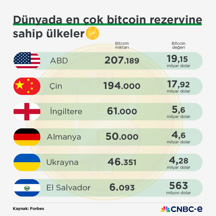 Küresel bitcoin rezervi: Hangi ülkenin ne kadar bitcoini var? - Resim : 2