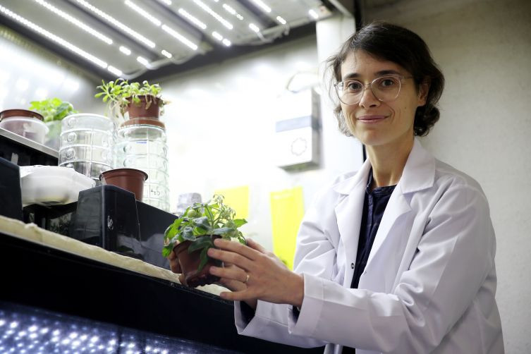 Uzay kolonileri için tarım deneyi: Türk bilim insanları Ay ve Mars toprağı benzerinde domates yetiştirdi - Resim: 3