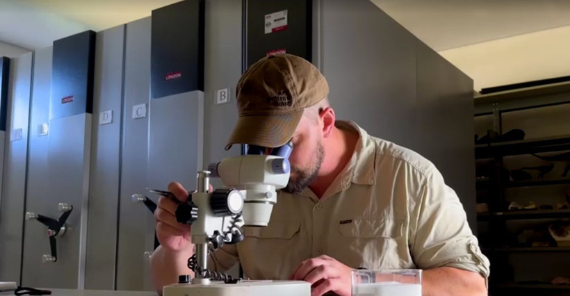 Brezilya'da 240 milyon yaşında 9.5 milimetrelik yeni bir tür fosil kafatası keşfedildi - Resim: 3