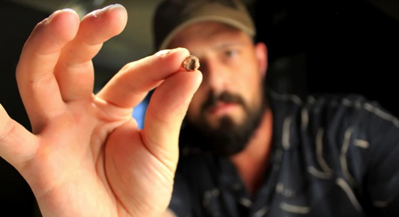 Brezilya'da 240 milyon yaşında 9.5 milimetrelik yeni bir tür fosil kafatası keşfedildi - Resim: 9