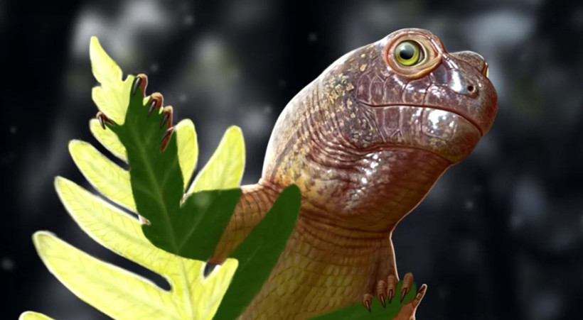 Brezilya'da 240 milyon yaşında 9.5 milimetrelik yeni bir tür fosil kafatası keşfedildi - Resim: 8