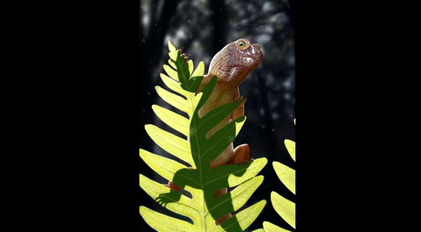 Brezilya'da 240 milyon yaşında 9.5 milimetrelik yeni bir tür fosil kafatası keşfedildi - Resim: 10