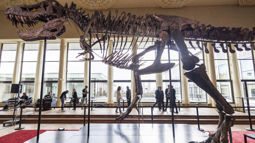 T-rex iskeleti rekor fiyata satıldı: 50,1 milyon dolarla tarihin en pahalı dinozor fosili oldu - Resim: 2