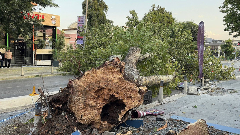 İstanbul'da fırtına hayatı felç etti: Çatılar uçtu, ağaçlar devrildi - Resim: 4