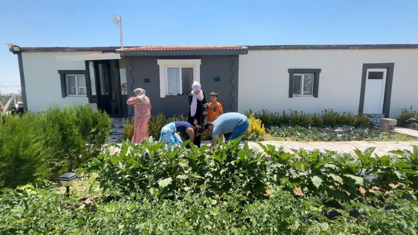 Bu çiftlikte para geçmiyor! Tarlada çalışan ücretsiz konaklıyor - Resim: 4