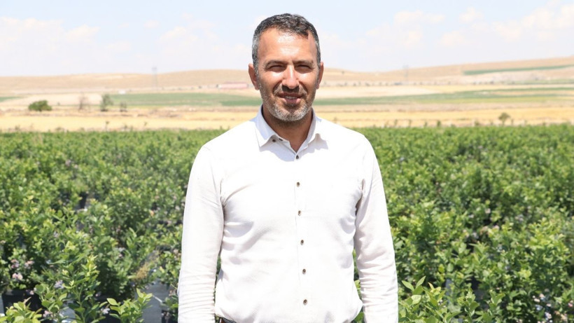 Saksıda yetiştirdi, ithal ürünlere rakip oldu! '30'a yakın çeşit var' - Resim: 6