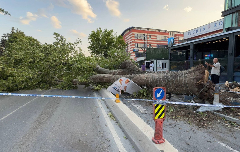 İstanbul'da fırtına hayatı felç etti: Çatılar uçtu, ağaçlar devrildi - Resim: 2