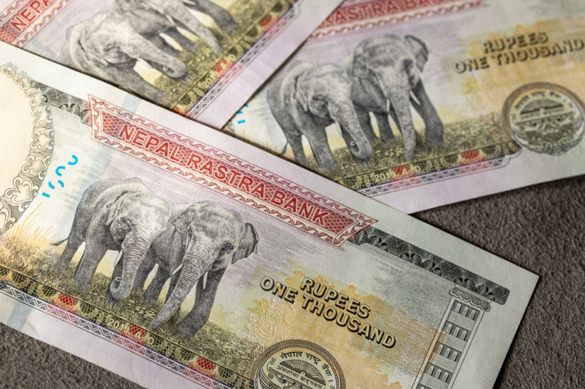 Para birimlerinin 2025 performansı: Ruble zirvede, TL'de durum ne? - Resim: 13