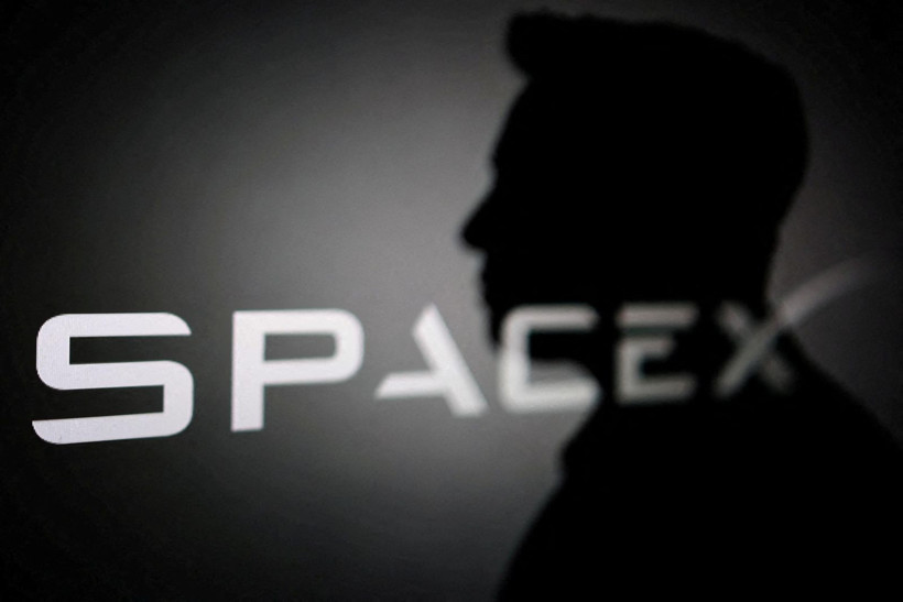 SpaceX yatırımcıları bilançoyu unuttu! Gündem pembe roket ve maskot - Resim: 1
