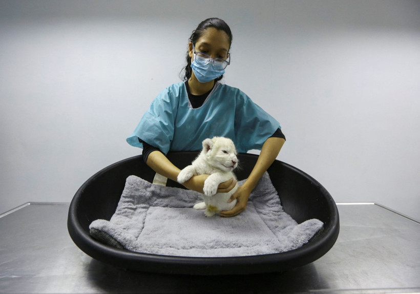 Fotoğraflarla dünya gündemindeki ilginç haberler - 2 Aralık 2025 - Resim: 13