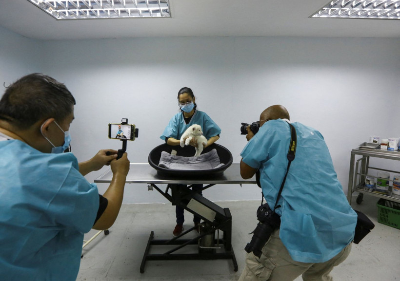 Fotoğraflarla dünya gündemindeki ilginç haberler - 2 Aralık 2025 - Resim: 12