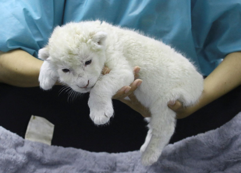 Fotoğraflarla dünya gündemindeki ilginç haberler - 2 Aralık 2025 - Resim: 15